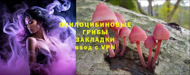 купить наркотик  Нытва  Псилоцибиновые грибы MAGIC MUSHROOMS 